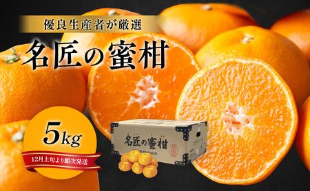 みかん 特秀 名匠 5kg 三ヶ日 S〜M 果物 フルーツ みかん