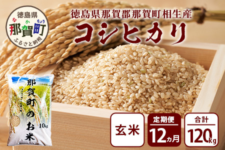 【お米の定期便12回】那賀町のお米 コシヒカリ (玄米) 10kg×12回 計120kg【徳島県 那賀町 相生 国産 玄米 コシヒカリ 10kg 10キロ 120kg 120キロ 産地直送】YS-29