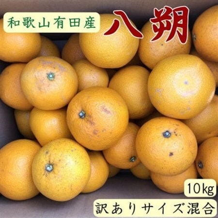 [手選果・訳あり]有田産の八朔約10kg(サイズ混合)[日高町]