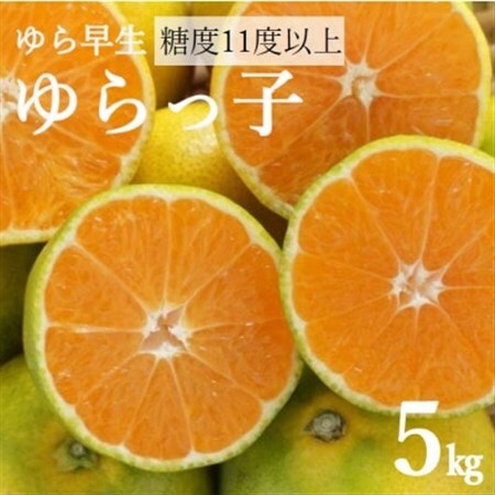 糖度11度以上!ゆら早生みかん「ゆらっ子」5kg(サイズ2S～M)【2026年10月中旬～順次発送】【1218292】