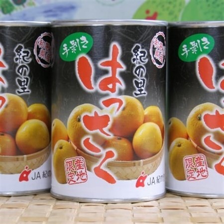 和歌山産手剥き八朔缶詰450g×8缶入り(日高町)【1221752】