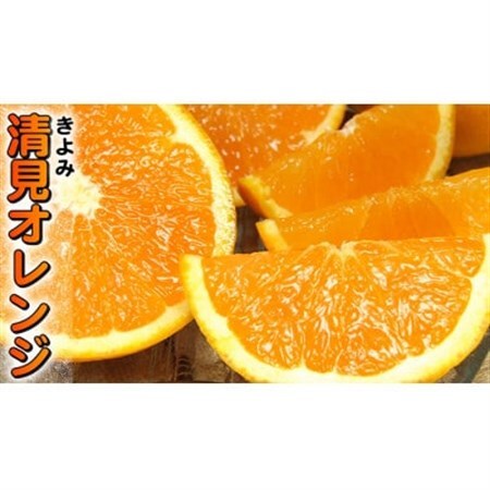 清見オレンジ 秀品 [約8kg]和歌山県有田産春みかん(果実サイズおまかせ)【1223504】