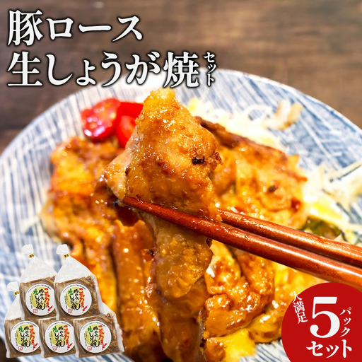 名所　豚ロース生しょうが焼セット　【11218-0660】