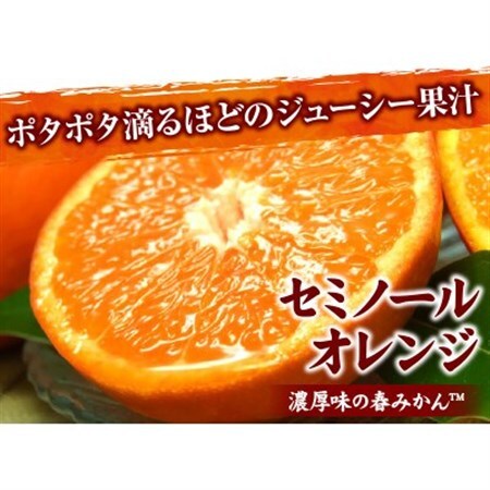 セミノールオレンジ[約2.8kg]湯浅町田村産春みかん(果実サイズおまかせ)【1242252】