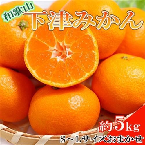【産直・秀品】和歌山下津みかん約5kg(S～Lサイズおまかせ)(日高町)【1313844】