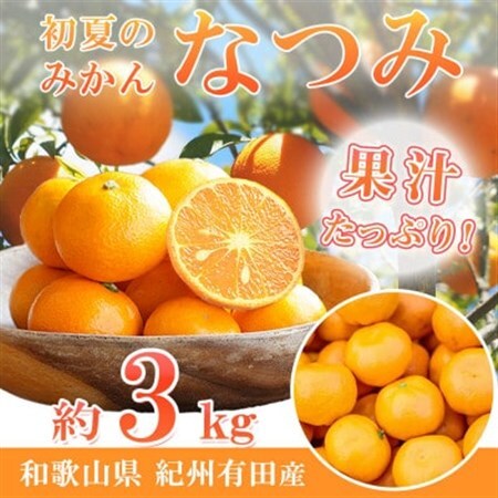 【2027年4月より発送】初夏のみかん　なつみ3kg【配送不可地域：離島】【1327770】