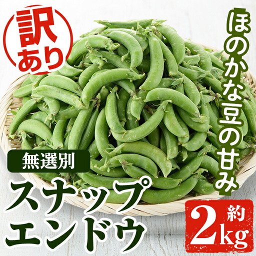 [先行予約受付中!2026年12月中旬以降順次発送予定]訳あり!鹿児島県産 スナップエンドウ(約2kg) 国産 野菜 スナップエンドウ スナップえんどう おつまみ サラダ 炒め物 訳アリ サイズ混合[松永青果]akn053-07