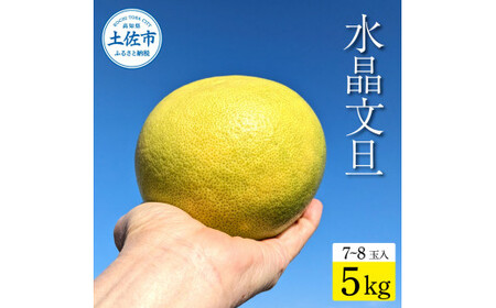 土佐市産 水晶文旦 約5kg (7?8玉） 高知県土佐市 【土佐労働者協同組合】 [BQBU004]