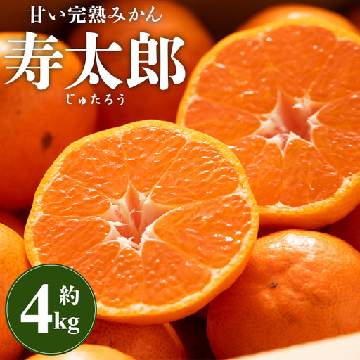 【1月中旬〜2月発送】寿太郎みかん 4kg みかん 果物 ms-0086