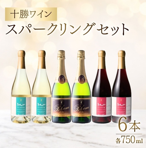 十勝ワイン スパークリング6本セット(3種類) ブルーム トカップ 北海道ワイン 北海道池田町 食前酒 お祝い パーティー スパークリング