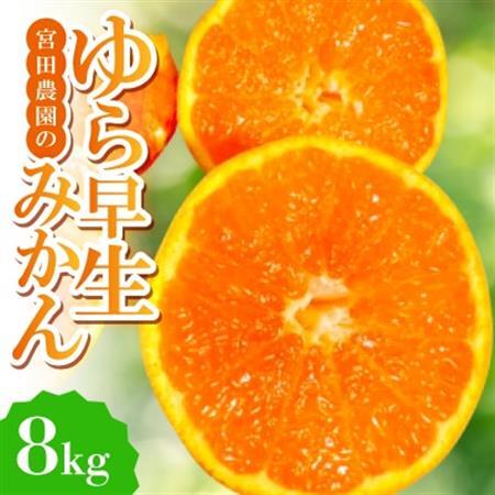 【ゆら早生】宮田農園の温州みかん　8kg【1353530】