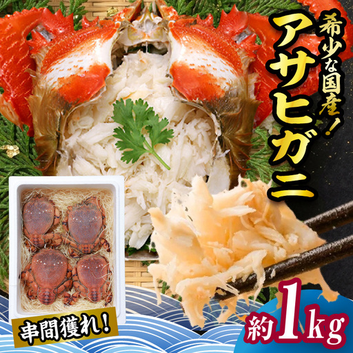 【先行予約】＜2026年11月より順次発送予定＞宮崎県串間市産 アサヒガニ1kg 国産 海鮮 カニ_K027-014-02