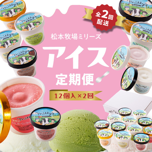 松本牧場アイス定期便（12個入り×2回）／ ジェラート アイスクリーム【Z060】