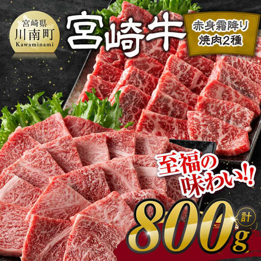 【令和8年11月発送】宮崎牛赤身霜降り焼肉2種 800g【肉 牛肉 国産 宮崎県産 宮崎牛 黒毛和牛 和牛 焼肉 BBQ 4等級  A4ランク 肩ロース ウデ モモ E11124】