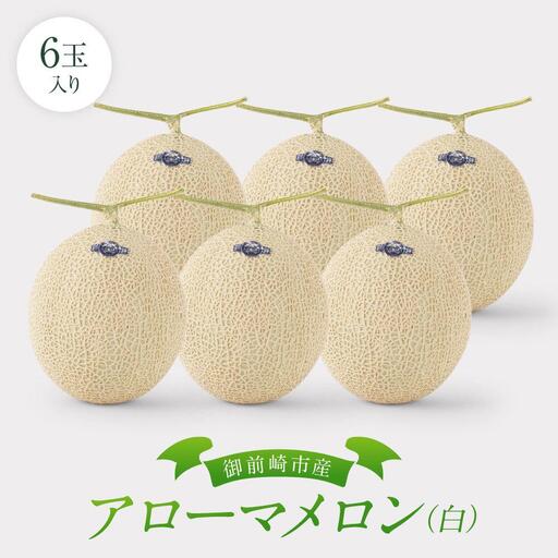 御前崎市産アローマメロン(白）6玉入り｜マスクメロン フルーツ 果物 くだもの デザート 静岡
