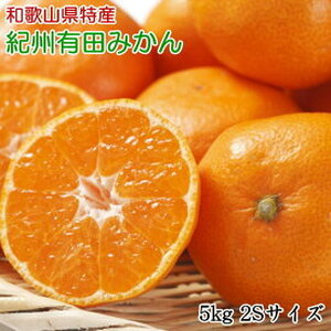 【2026年先行予約】【秀品】和歌山 有田みかん 5kg（2Sサイズ）_ZD7013