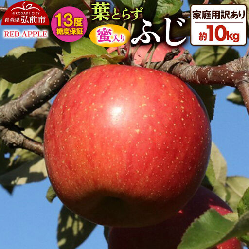 りんご 葉とらずふじ 約10kg【訳あり】りんご