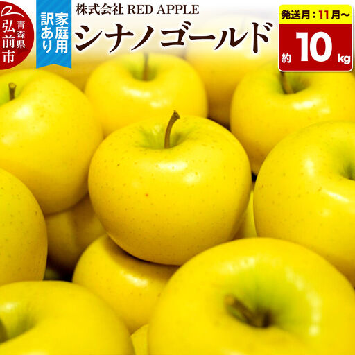 【26年11月～発送】りんご【訳あり】家庭用 シナノゴールド 約10kg 先行受付