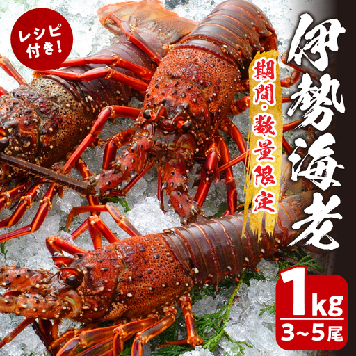 先行予約≪数量限定≫伊勢海老(計1kg) えび 魚介 海鮮 国産_T013-0015
