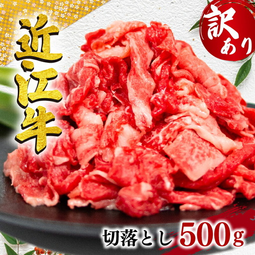 訳あり 近江牛 切り落とし 500g ( 訳あり近江牛 黒毛和牛 牛肉 250g×2パック 肉 ギフト 自宅用 高級 黒毛和牛 ブランド和牛 切落し 国産 ふるさと納税 ブランド牛 三大和牛 和牛 贈り物 内祝い 神戸牛 松阪牛 に並ぶ 日本三大和牛 滋賀県 竜王町 澤井牧場 送料無料 ]