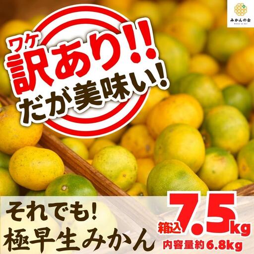 訳あり 極早生 箱込 7.5kg (内容量約 6.8kg) サイズミックス 有田みかん 和歌山県産 【みかんの会】［2026年10月上旬頃より順次発送予定］