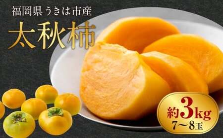【先行予約】柿 太秋柿 特選 約3kg 7玉～8玉 西見柿農園