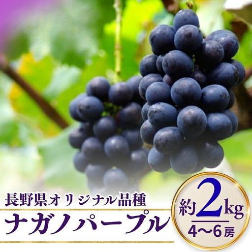 【2026年先行予約】ナガノパープル 約2kg ※最低1.8kg以上（4~6房）| ナガノパープル