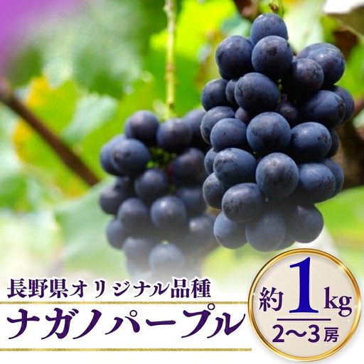 ナガノパープル 約1kg（2~3房）※最低900グラム以上｜ ナガノパープル
