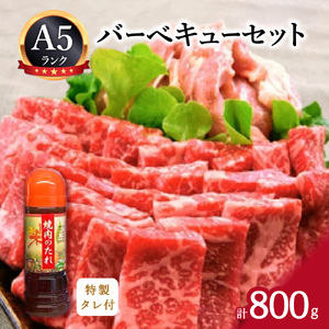 バーベキューセット 伊万里牛 モモ 鶏肉 約800g