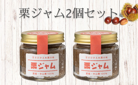 中山町産栗 栗ジャム 2個 ジャム 食パン トースト ホットケーキ 栗 愛媛 伊予市 |