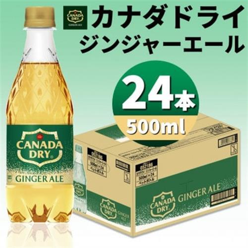 カナダドライジンジャーエール 500mlPET×24本_飲料・ドリンク 炭酸飲料 ジュース _【1456816】