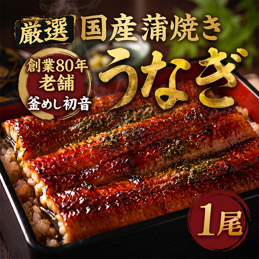 国産うなぎ蒲焼 1尾 (約190g) [hn088]