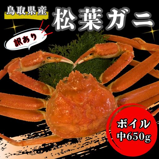 ['26先行予約][訳あり]足1本なしボイル松葉ガニ(中650g)[魚倉] [179-2]