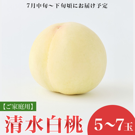【ご家庭用】岡山白桃 清水白桃 5～7玉【2027年7月中旬頃から順次発送】