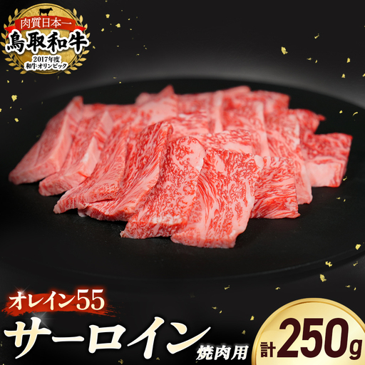 鳥取和牛 オレイン55サーロイン焼肉用(250g) 牛肉 焼肉 サーロイン