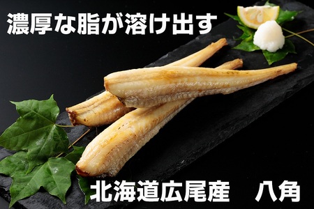 干物専門店かぶらぎ水産の広尾産八角一夜干し９尾セット
