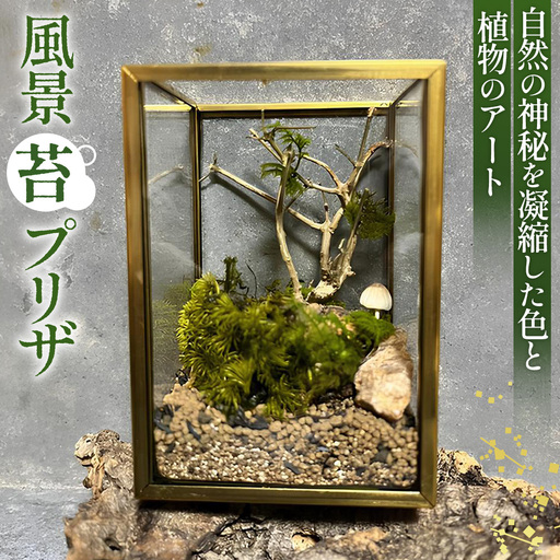 風景 苔プリザ No.355