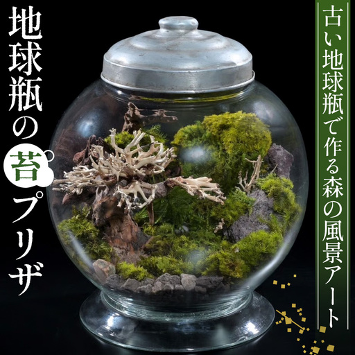 地球瓶の苔プリザ No.357