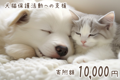 犬猫保護活動への支援 1万円