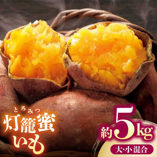 [先行予約]ブランド さつまいも「灯籠蜜いも とろみついも」約5kg[株式会社 アグリファーム未来]