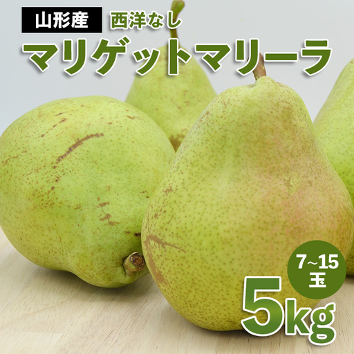 山形市産 西洋なし(マリゲットマリーラ) 秀 5kg(7玉〜15玉)[令和8年産先行予約]FS23-729 くだもの 果物 フルーツ 山形 山形県 山形市 2026年産