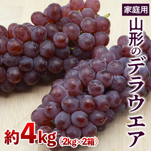 [ご家庭用]山形のデラウエア M〜3L 約4kg [粒サイズおまかせ] [令和8年産先行予約]FS24-570 くだもの 果物 フルーツ 山形 山形県 山形市 2026年産