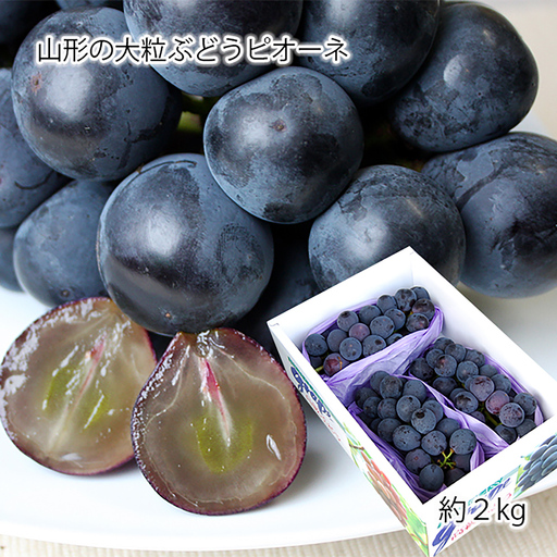 山形のぶどう ピオーネ 秀品 約2kg(2〜5房) [8月発送][令和8年産先行予約]FS24-650 くだもの 果物 フルーツ 山形 山形県 山形市 2026年産