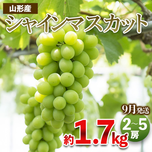 やまがたのぶどう シャインマスカット 秀品 約1.7kg(2～5房程度) [9月発送]　 【令和8年産先行予約】FS23-754 くだもの 果物 フルーツ 山形 山形県 山形市 2026年産