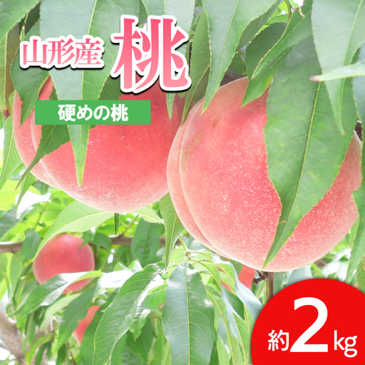 山形の桃(かための桃) 約2kg(4～9玉） 【令和8年産先行予約】FS24-657 くだもの 果物 フルーツ 山形 山形県 山形市 2026年産
