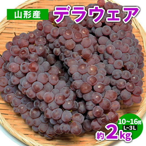 山形産 デラウェア 約2kg(10〜16房) L〜3L[令和8年産先行予約]FS23-782 くだもの 果物 フルーツ 山形 山形県 山形市 2026年産