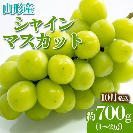 やまがたのぶどう シャインマスカット 10月 秀品 約700g(1～2房程度) 【令和8年産先行予約】FS23-817 くだもの 果物 フルーツ 山形 山形県 山形市 2026年産