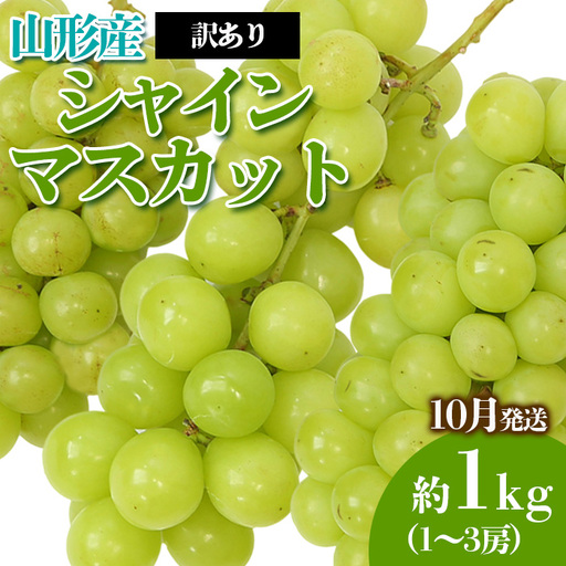 [訳あり]やまがたのぶどう シャインマスカット 10月 優品 約1kg(1～3房程度) 【令和8年産先行予約】FS23-819 くだもの 果物 フルーツ 山形 山形県 山形市 2026年産