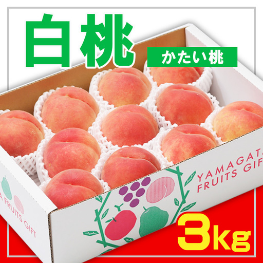 ☆フルーツ王国山形☆白桃 秀品 3kg [かたい桃]【令和8年産先行予約】FS23-824 くだもの 果物 フルーツ 山形 山形県 山形市 2026年産