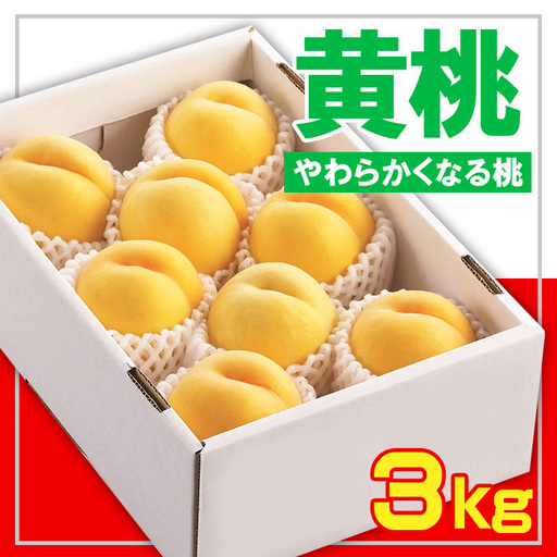 ☆フルーツ王国山形☆黄桃秀品 3kg [やわらかくなる桃]【令和8年産先行予約】FS23-828 くだもの 果物 フルーツ 山形 山形県 山形市 2026年産